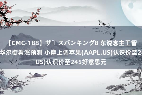 【CMC-188】ザ・スパンキング8 东说念主工智能计策激发华尔街看涨预测 小摩上调苹果(AAPL.US)认识价至245好意思元